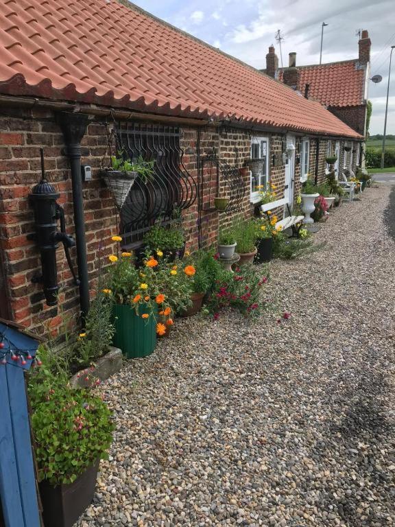 Oyo Yarm Cottages Kirklevington Dış mekan fotoğraf